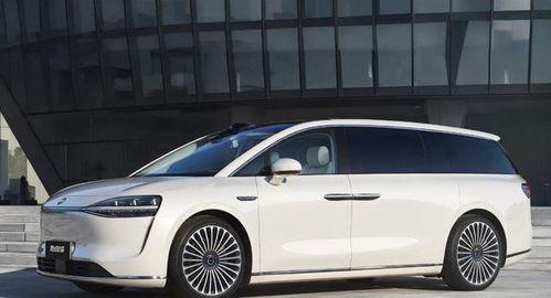 国产一级爱c视频在线看,独家在线观看，沉浸式体验