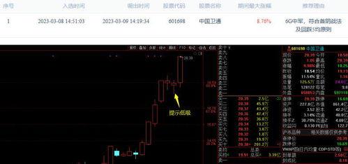 国产视须在线看,在线观看一网打尽