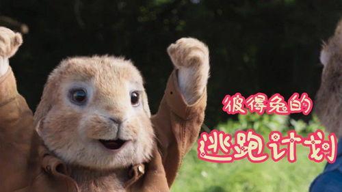 国产小兔子电影在线观看,萌动时光，在线观看的甜蜜之旅