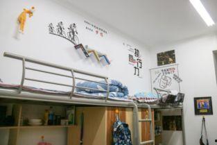 宿舍 在线 国产,国产生态下的在线体验