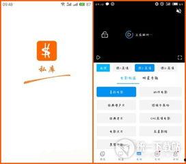 免费国产va在线视频app